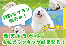 看板犬ランキング画像